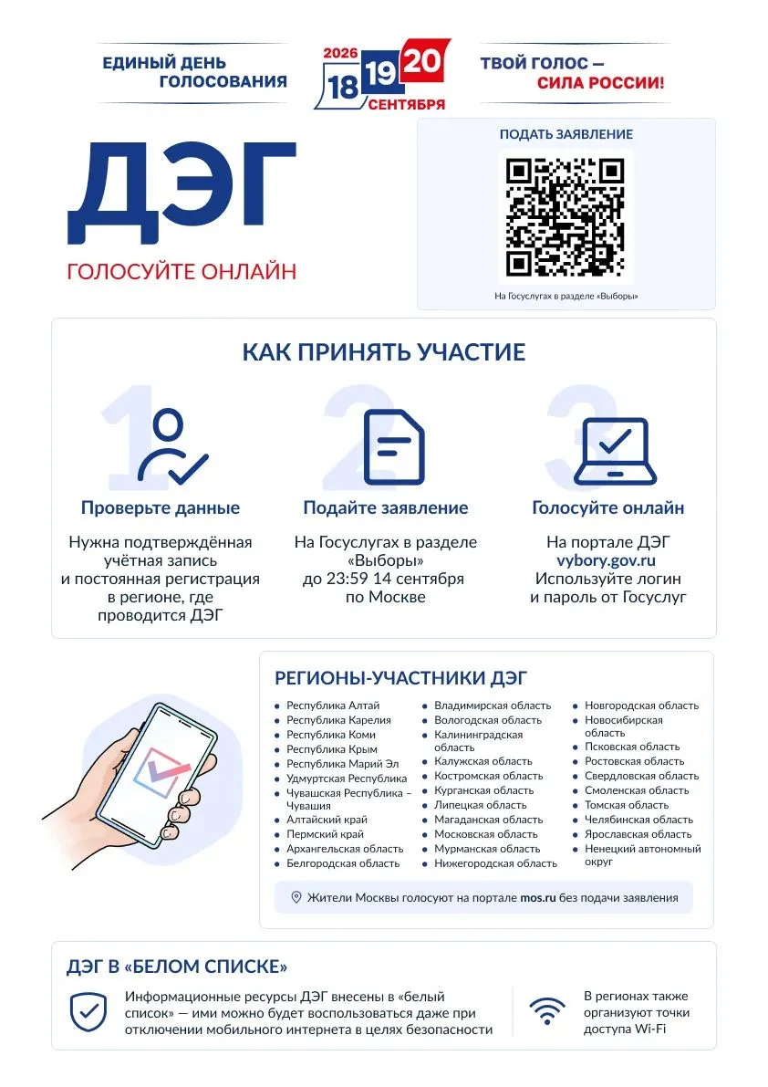 Проголосовать онлайн проще, чем кажется📌