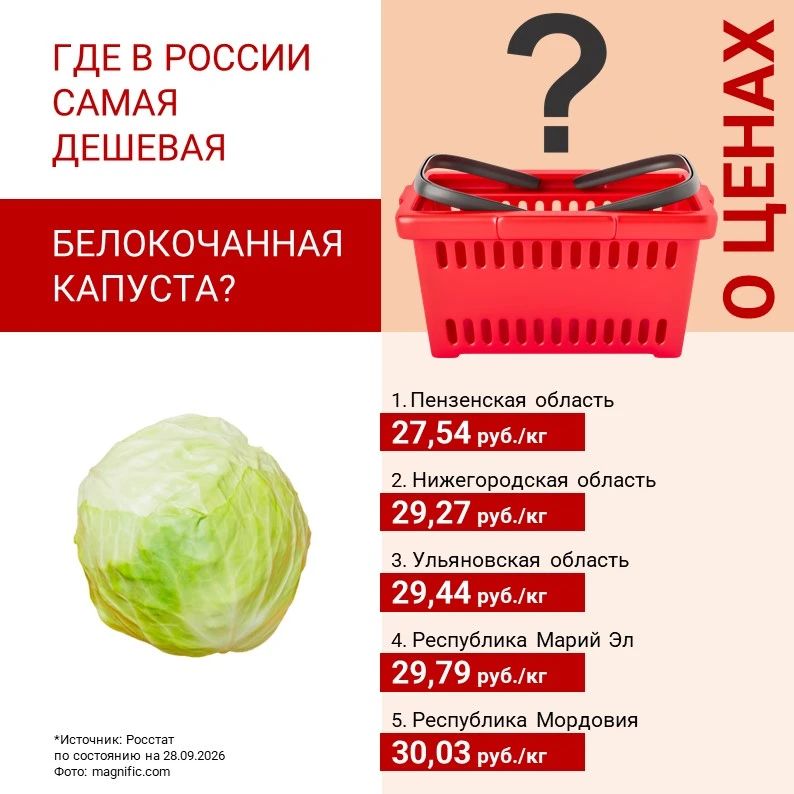 ‼️ ГДЕ В РОССИИ САМЫЕ ДЕШЕВЫЕ КАПУСТА И ЛУК?