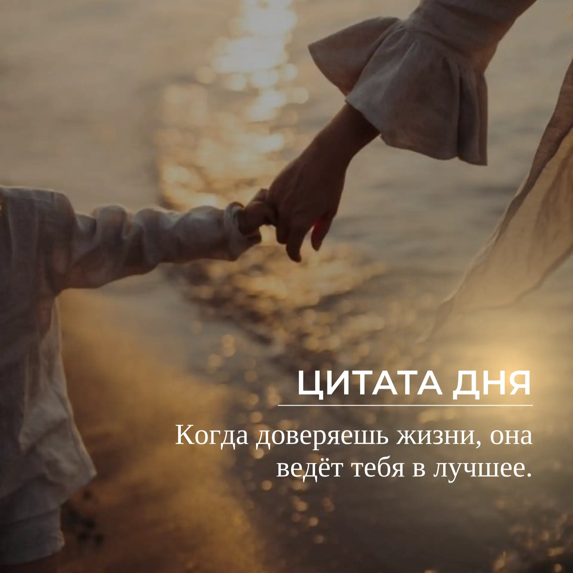 #цитатадня