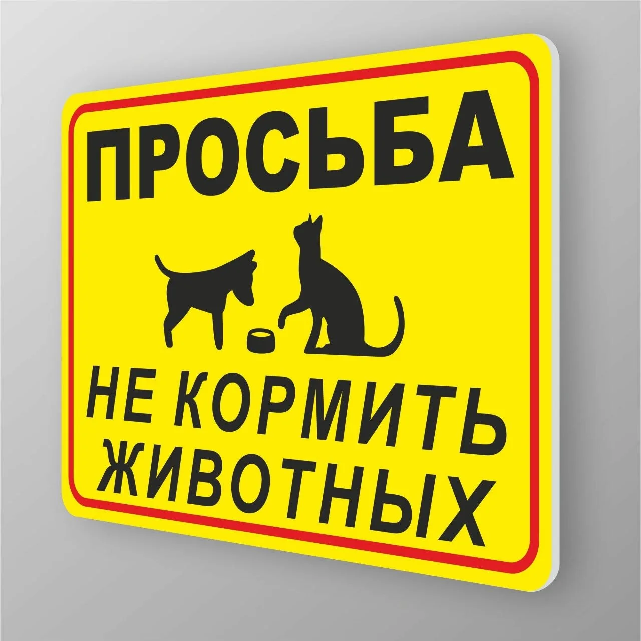 В Краснодаре запретили кормить бездомных животных во дворах