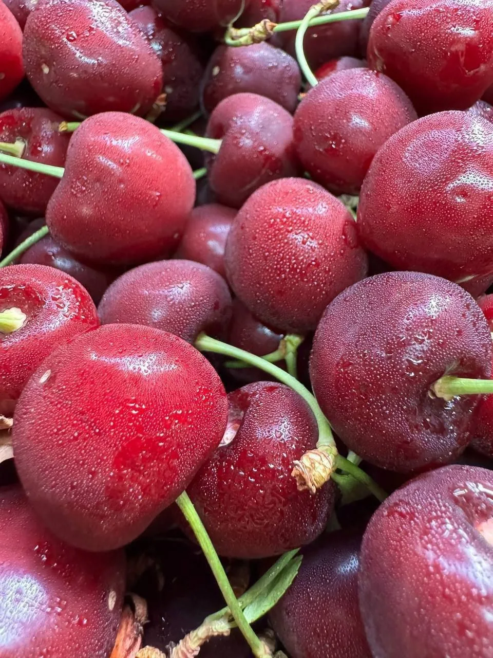 Шеф, Сезон везет сочную клубнику, черешню, манго в Ярославль!🍓🍒🥭  Поставка и выдача:  предварительно