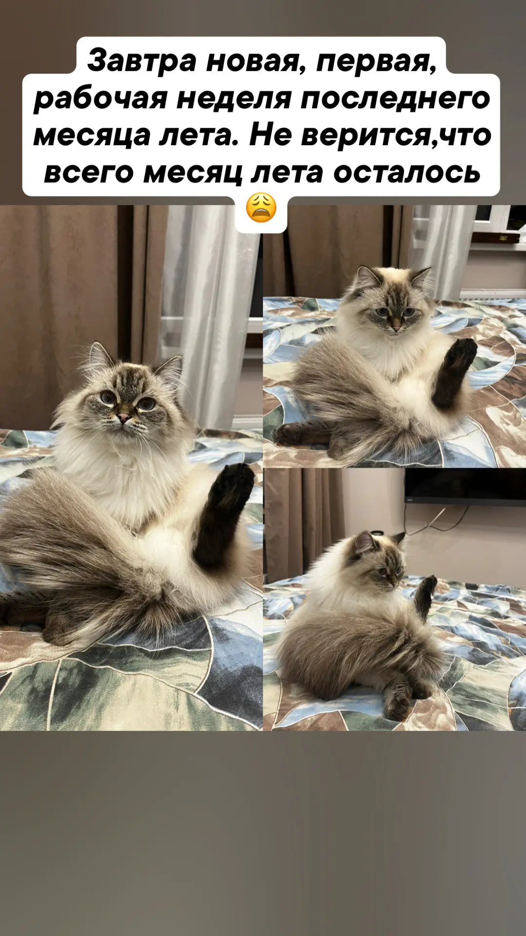 Фото