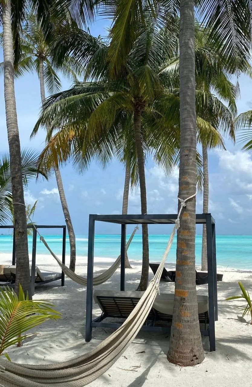 Вау, цена😍😍😍

❤️Мальдивы
🏨Riu Atoll 4*

Современный отель сети RIU, открыт в 2019 году. Соединён