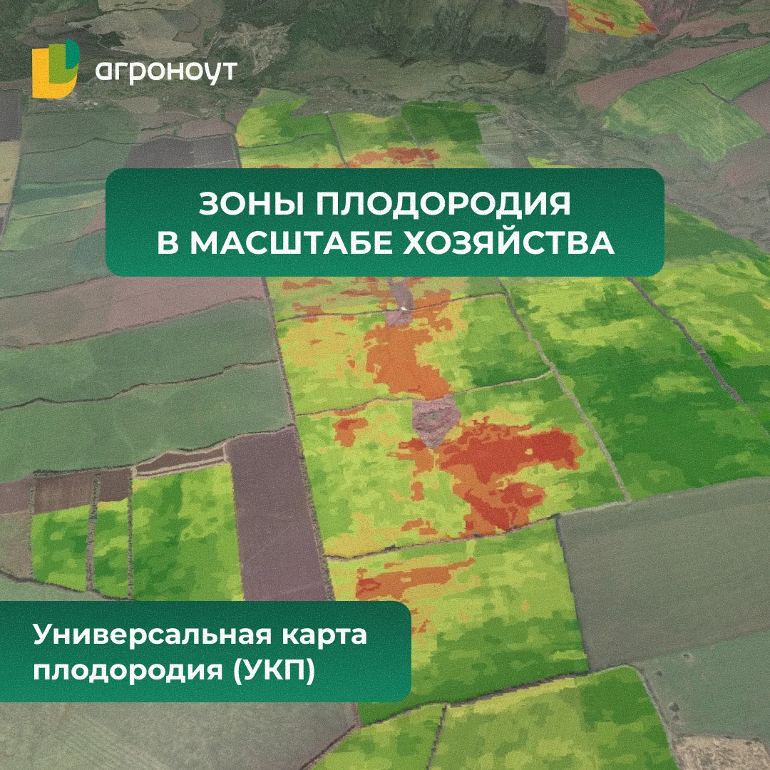 🌱 ЗОНЫ ПЛОДОРОДИЯ В МАСШТАБЕ ХОЗЯЙСТВА