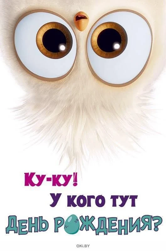 @pozdraf