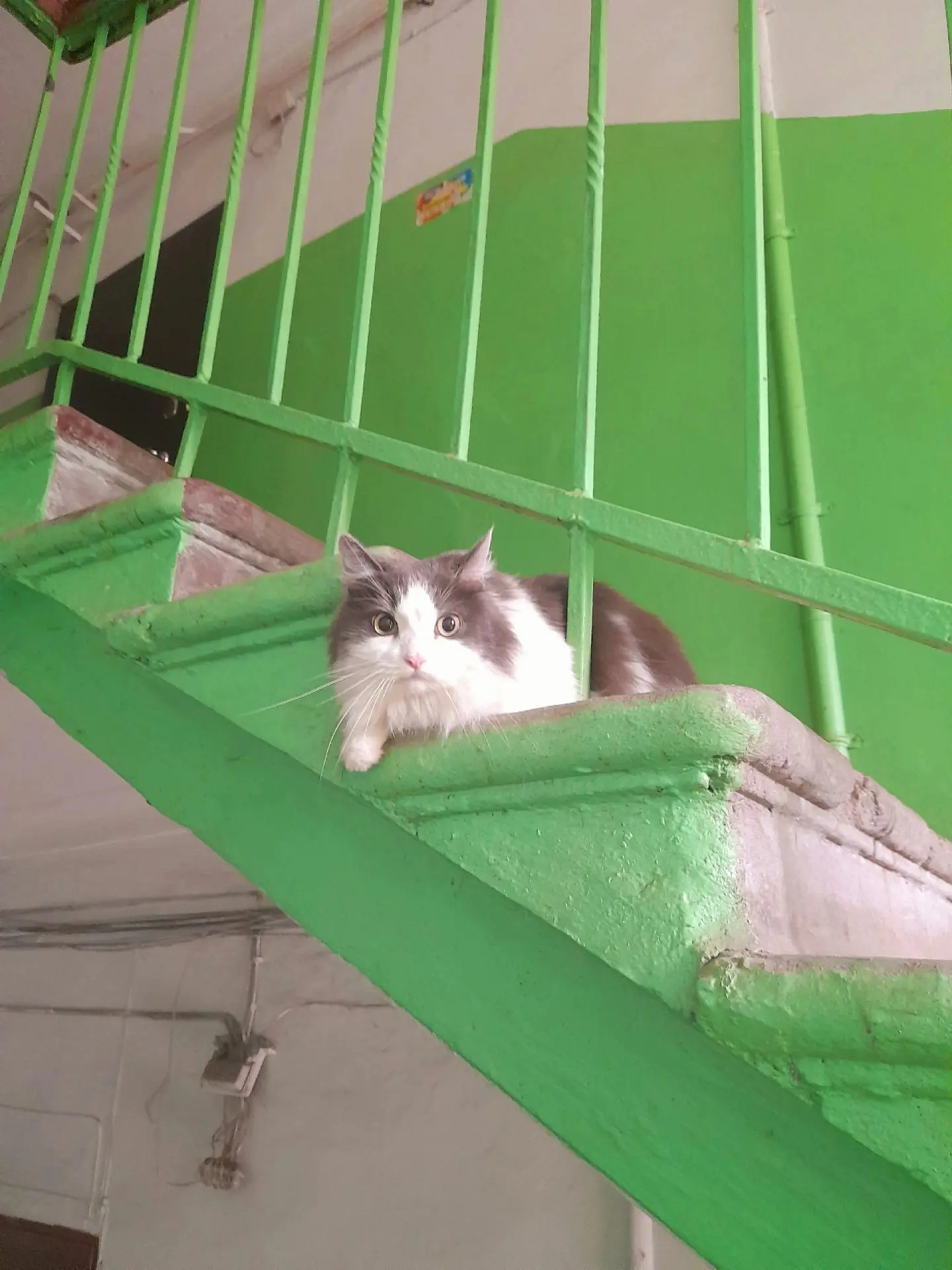- Я извиняюсь, а вы собственно к кому?