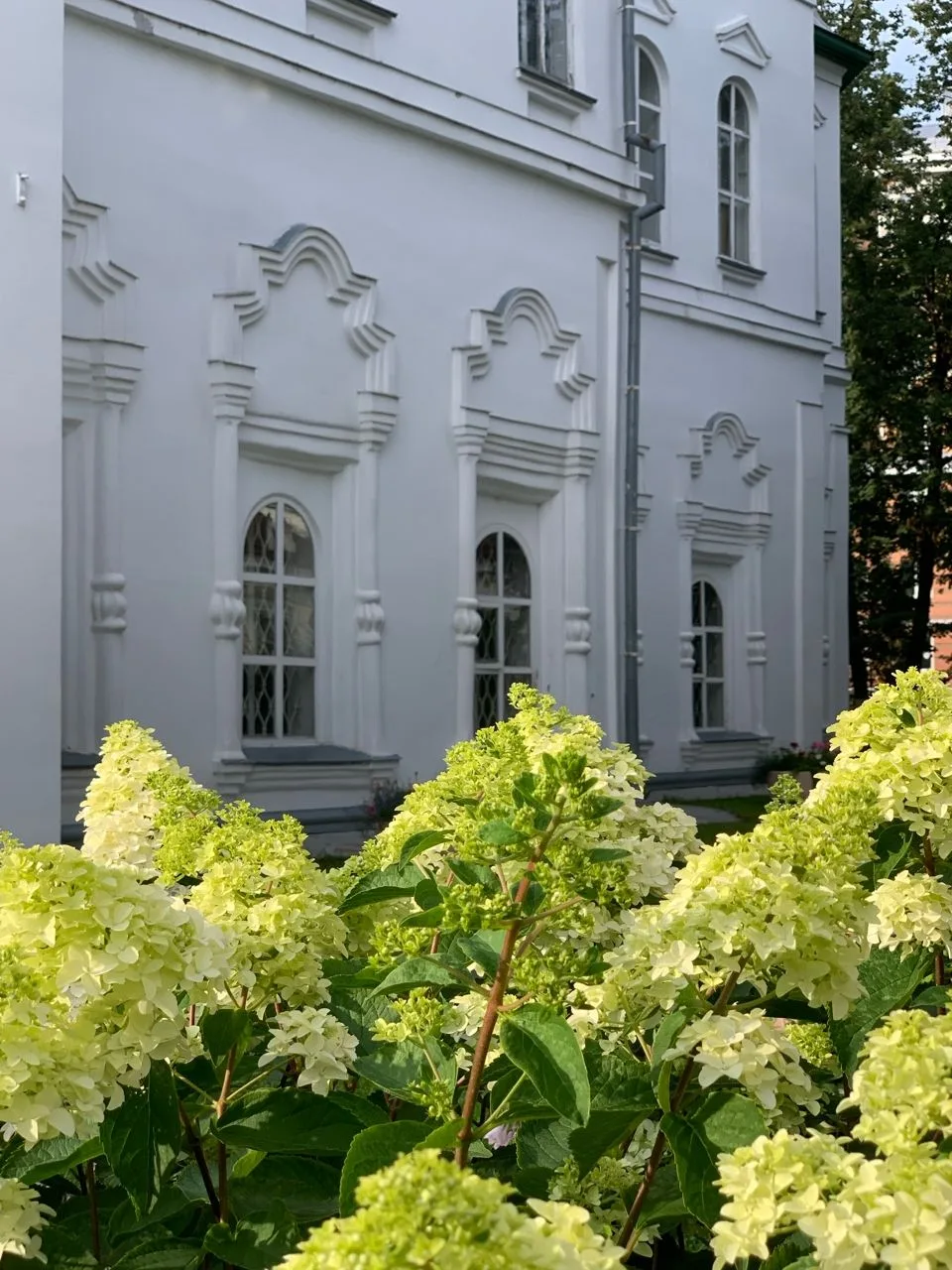 ☀️Солнечное пятно в пасмурный день