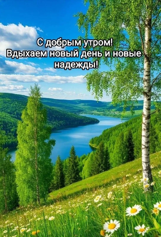 Открытки: подписаться ❤️