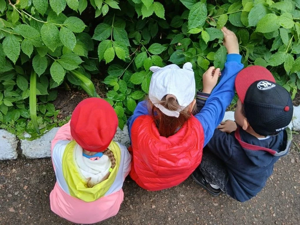 В рамках проведения экологической культуры и бережного природопользования в старшей группе прошел де