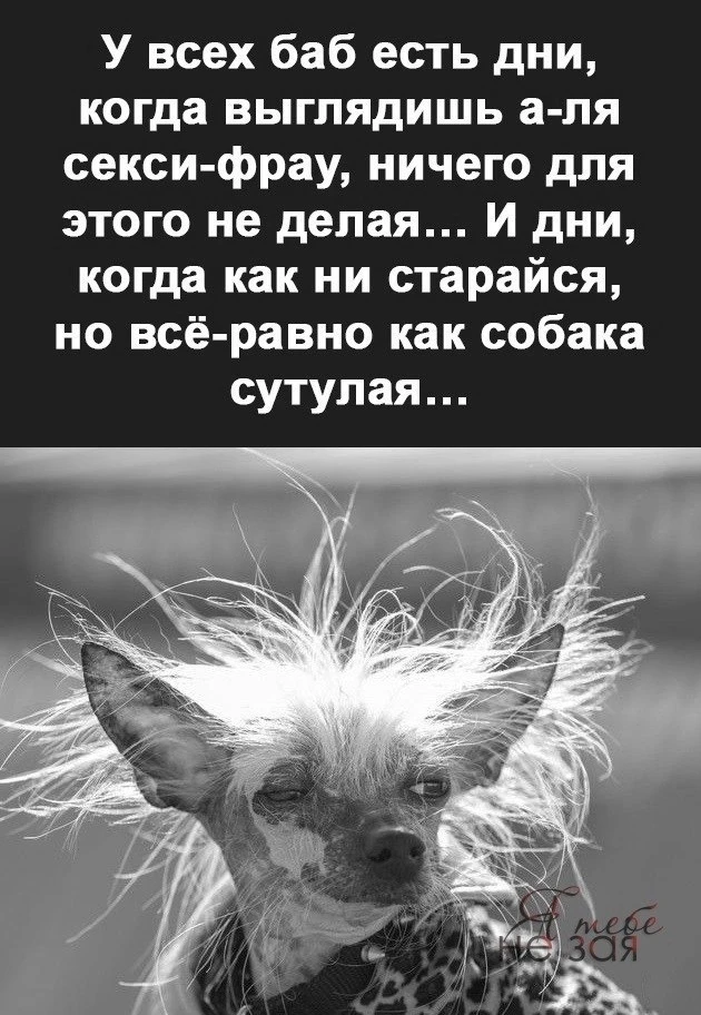 🇷🇺  Мы в МАХ : https://max.ru/public217683068