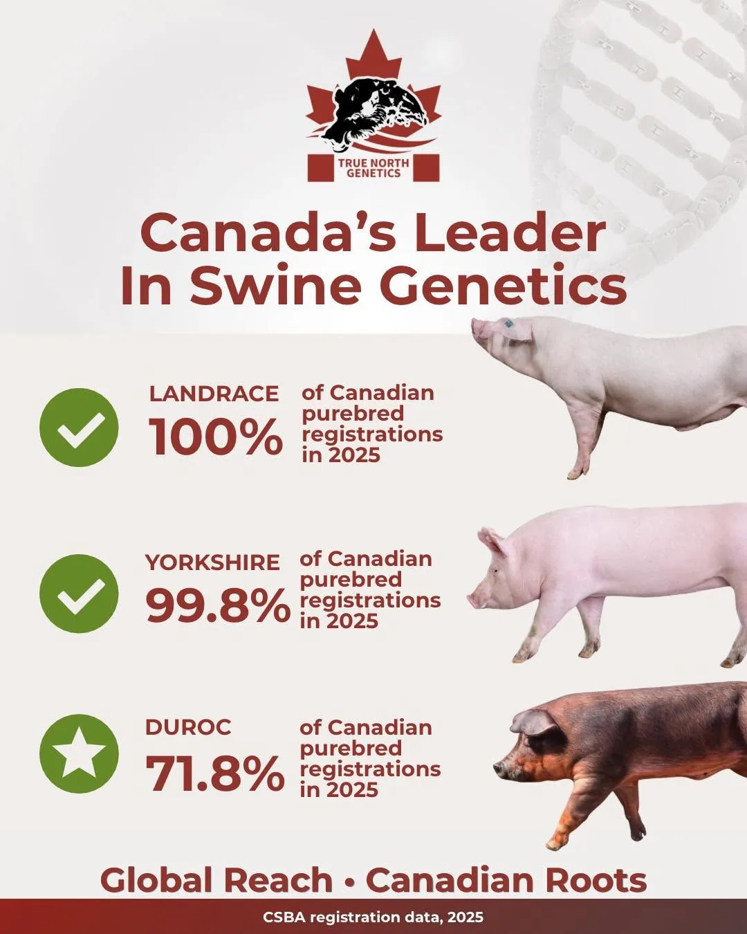 True North Genetics (Genesus) — ведущий поставщик зарегистрированной чистопородной гене...