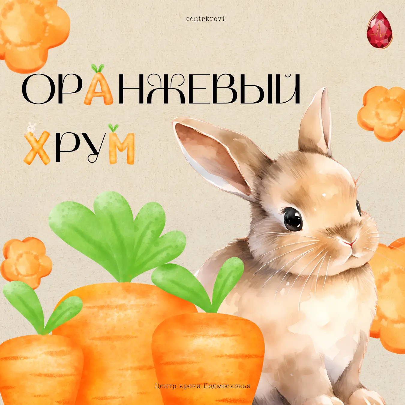 День моркови: праздник оранжевого корнеплода и его польза для доноров  🥕 Морковь — не только вкусный