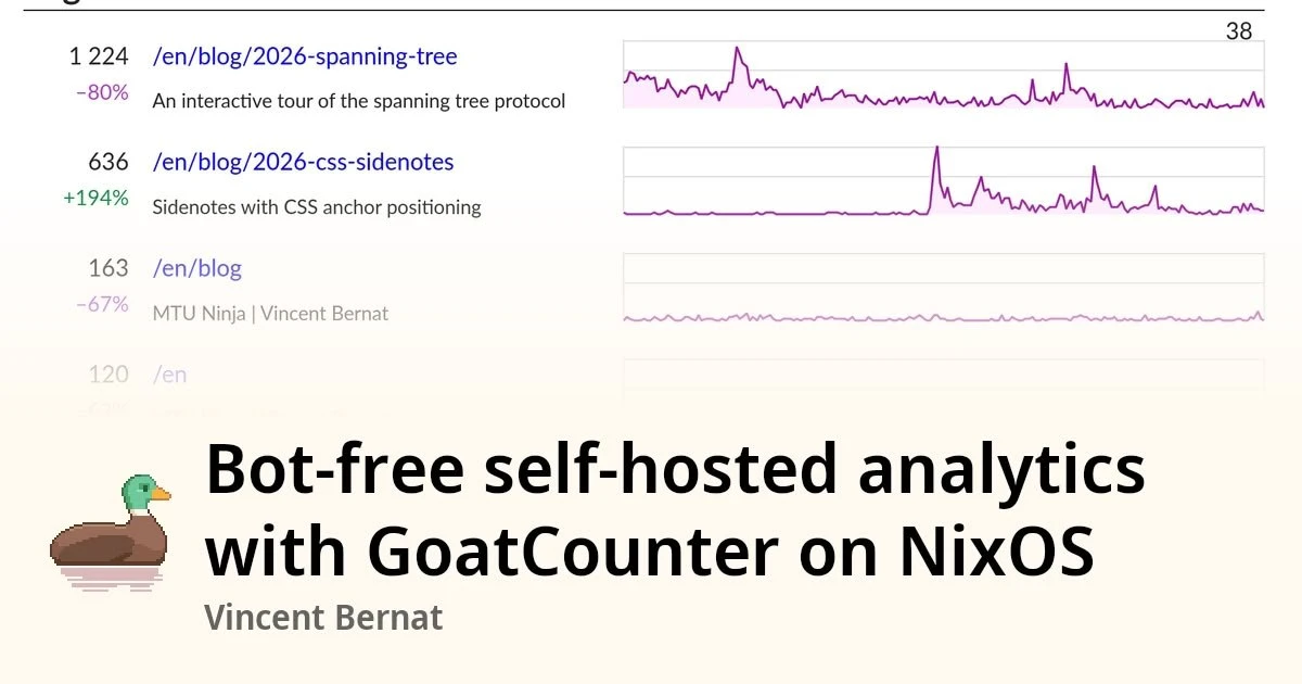 Как настроить GoatCounter и отсеять ботов от живых читателей