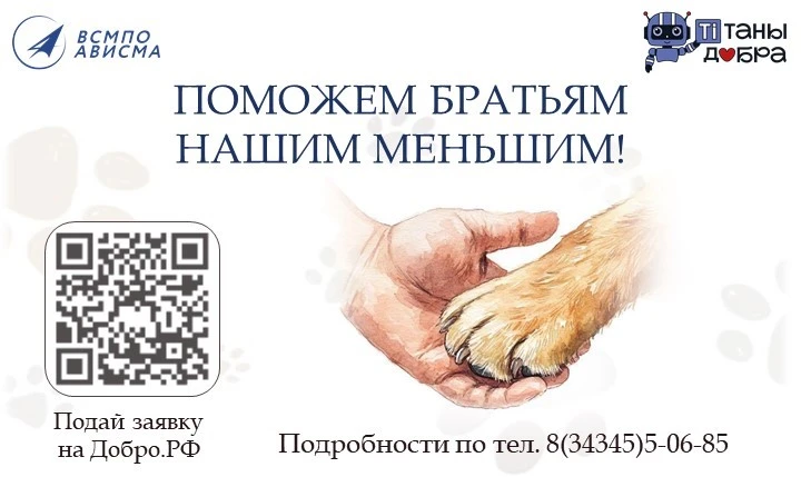 🐾 Поможем хвостикам вместе