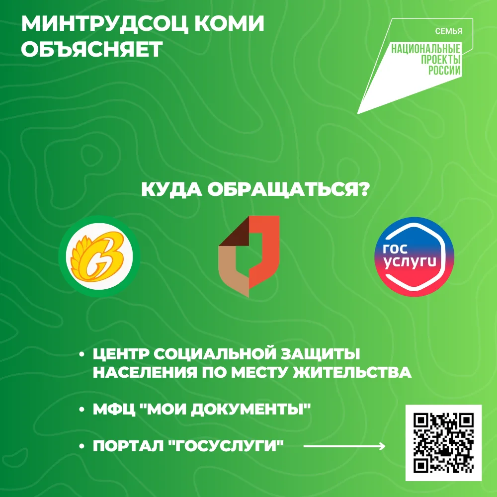 Нацпроект «Семья»: в Коми семьям, у которых родился первый ребенок, полагается региональный семейный