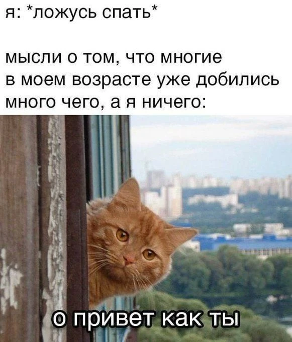🌙Спокойной ночи!
