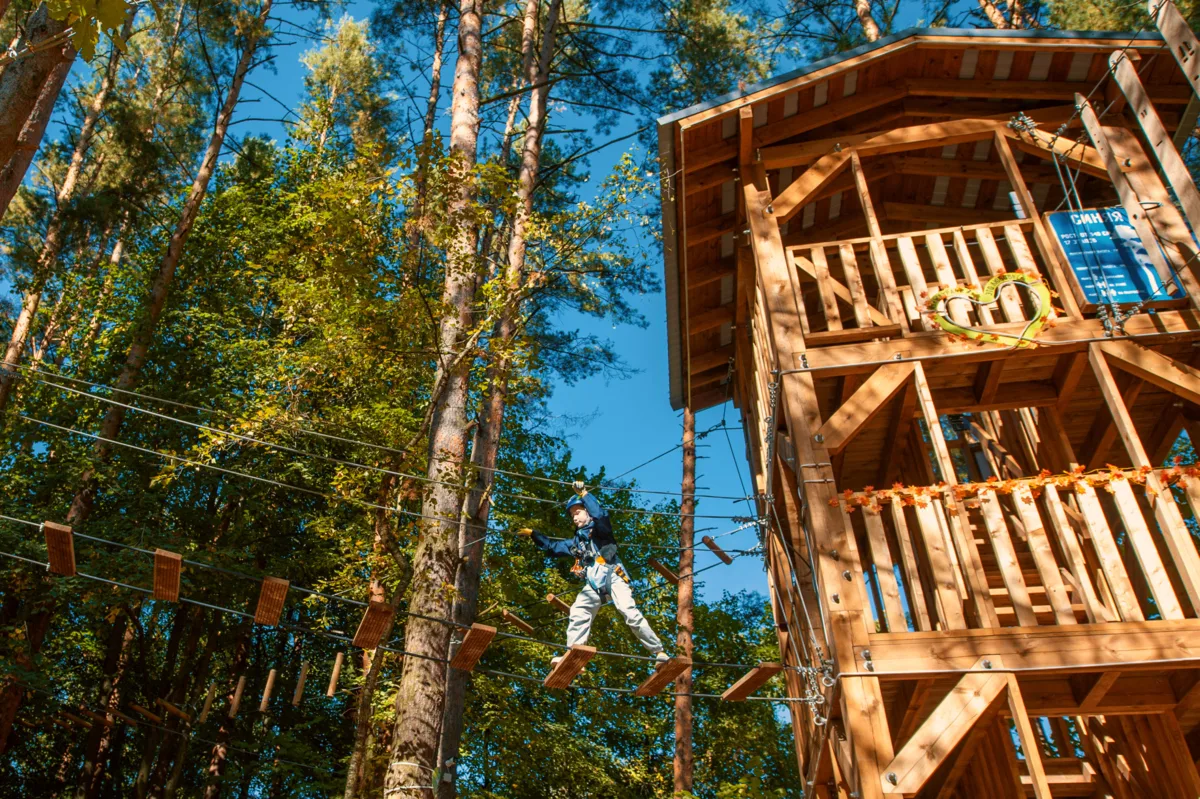 Хотите посмотреть на Лазутинку с высоты 18 метров? 🌲