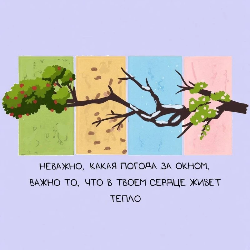 Напоминание на день 🫶