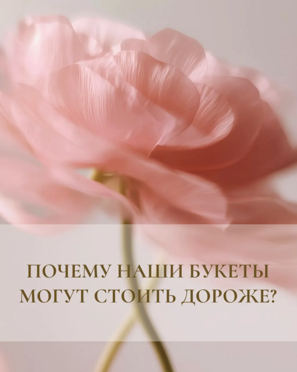🌸Почему наши букеты могут стоить дороже? Сейчас расскажем..😉