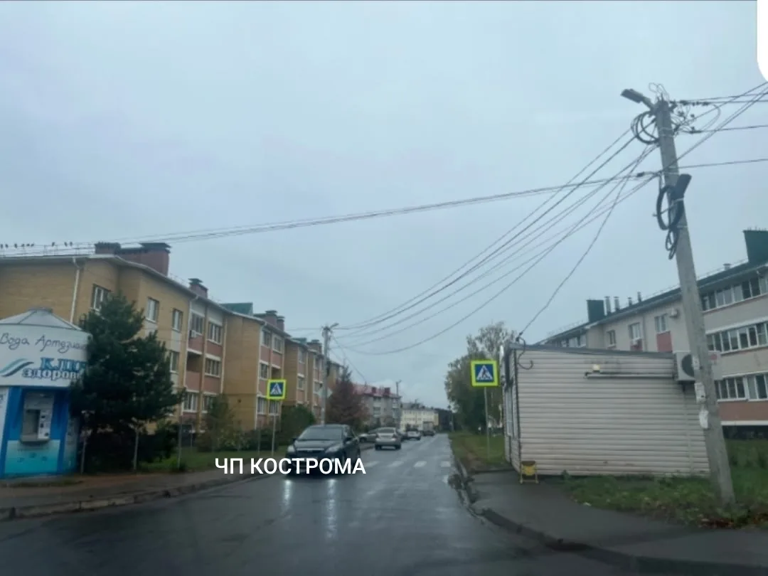 "Зa плюшкoй нa тoт cвeт"