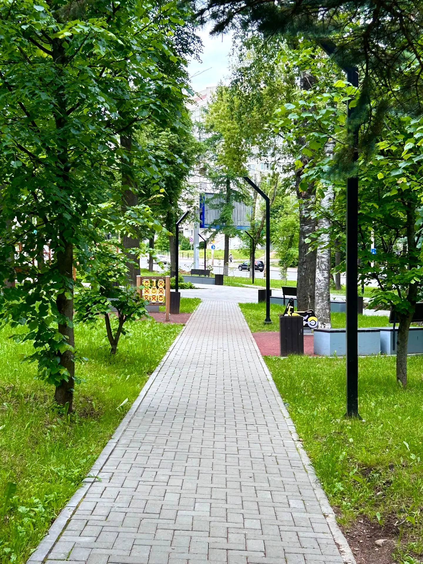 🌳 В регионе станет еще комфортнее