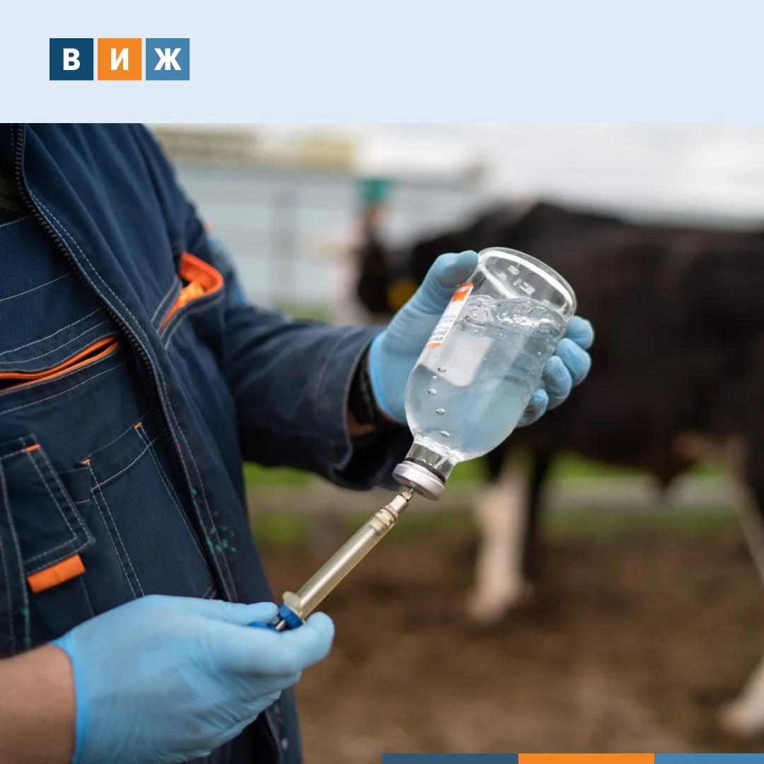 💉Вакцинация добровольная, но привить нужно всех