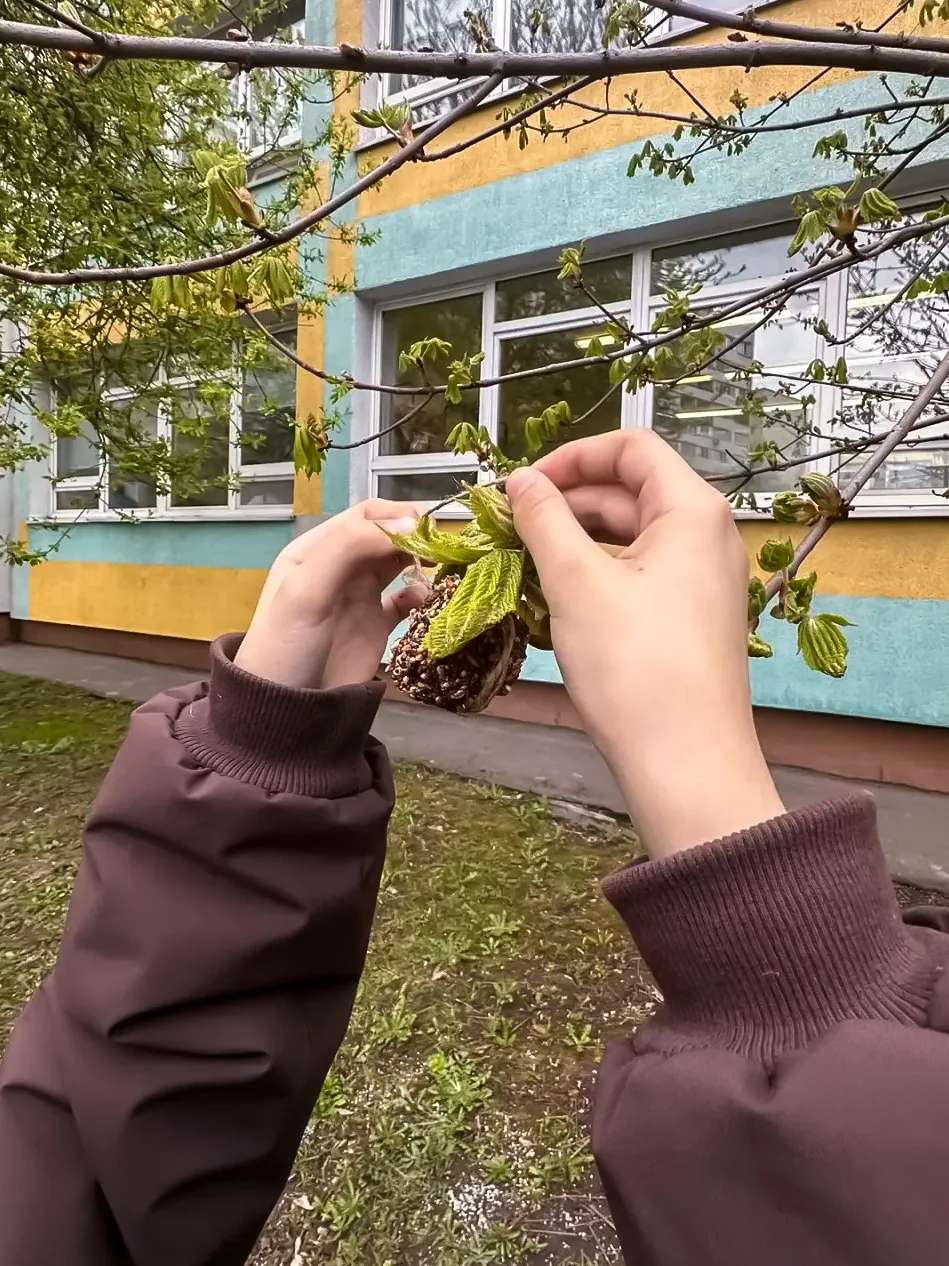 🐦 Юные экологи позаботились о птицах  Весной пернатые тратят много сил на выращивание птенцов, а в г