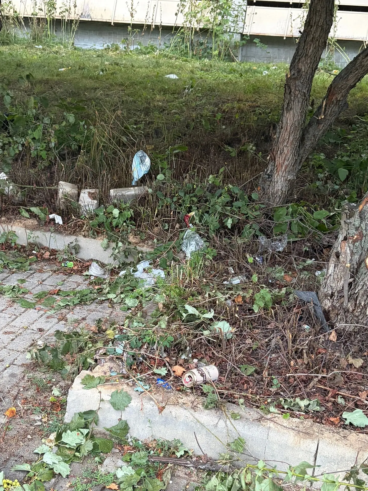 🚧 Ремонт на аллее по ул. Юности: хроника затянувшегося «благоустройства» 🗑️

Подписчики, к нам обр