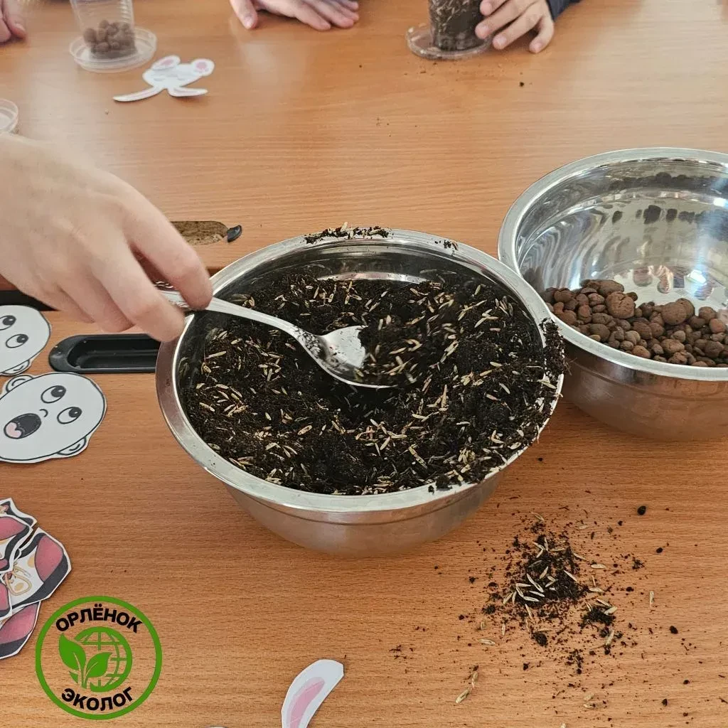 🌿Орлята-эколята приняли участие в важной экологической акции «Травянчик в стаканчик»  Ребята оригина