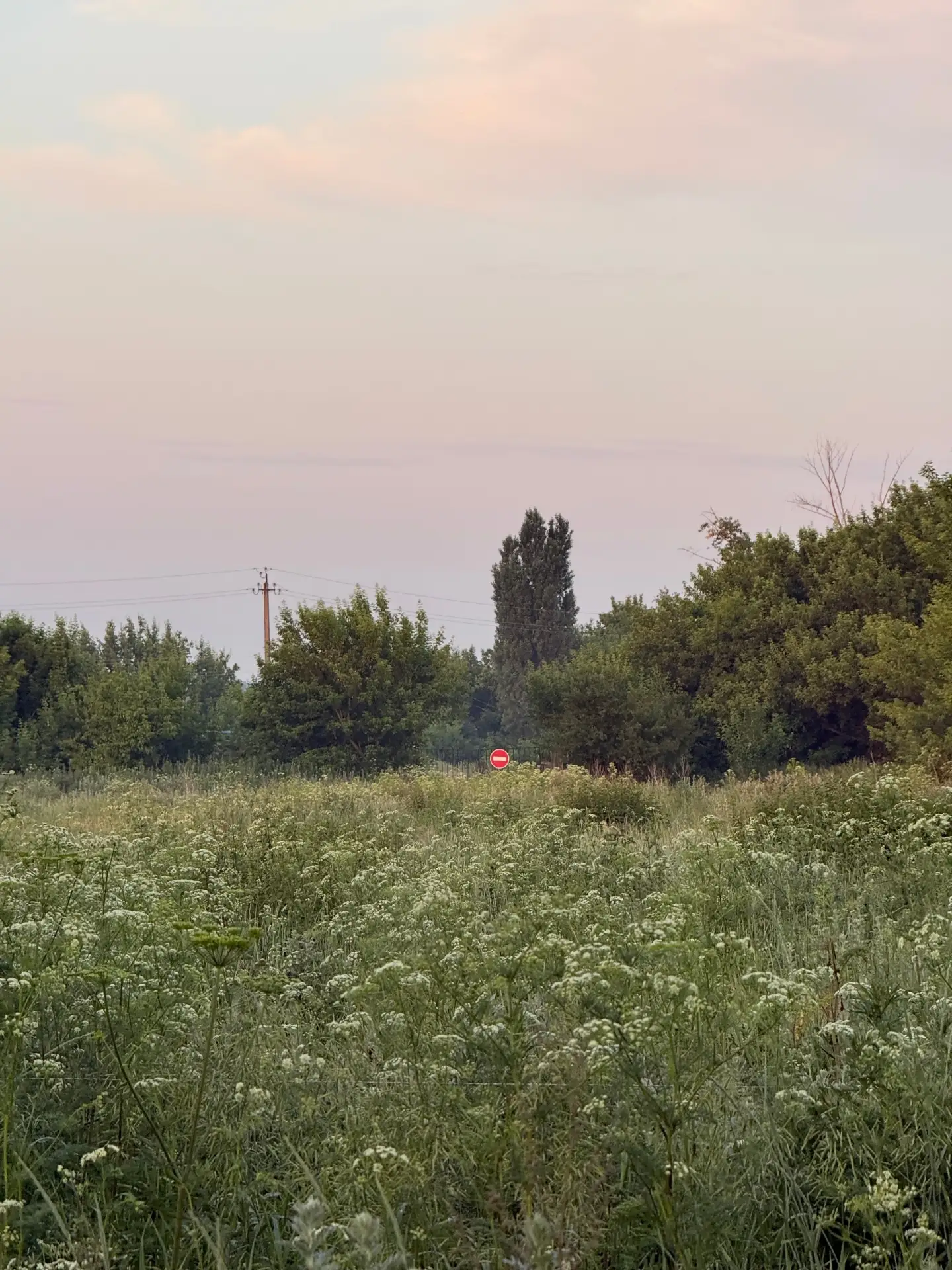 Воронежская область.