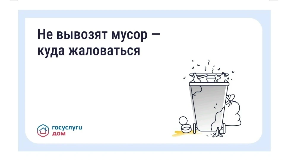 Что делать, если вовремя не вывозят мусор? Восстановите порядок с помощью телефона и «Госуслуги Дом»