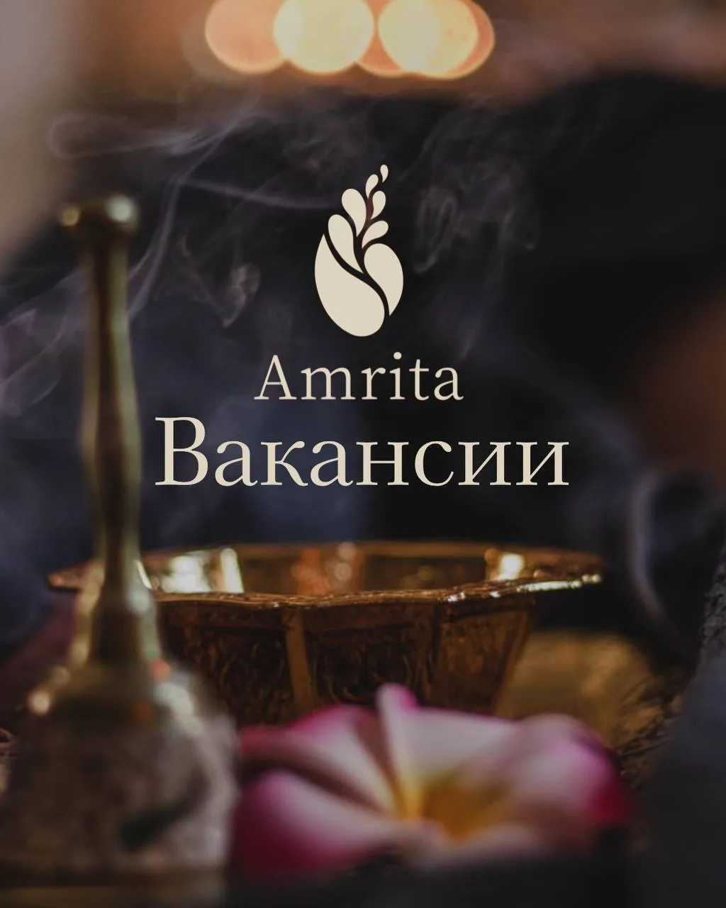 Мы в поиске…