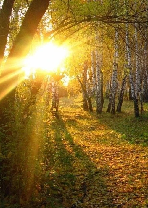 🌅🍂 Повеяло дыханьем Сентября,