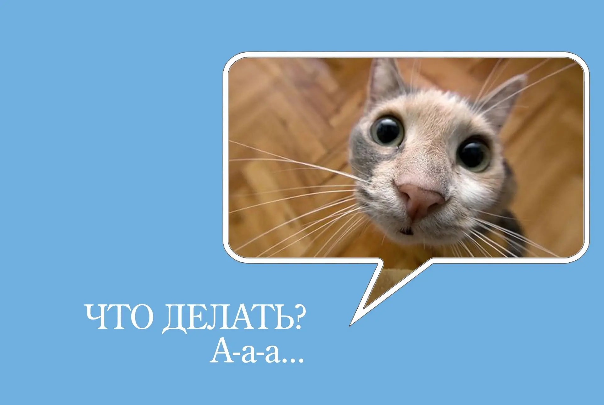 《Когда исчезнут счета в "Госуслугах Дом" после оплаты?》