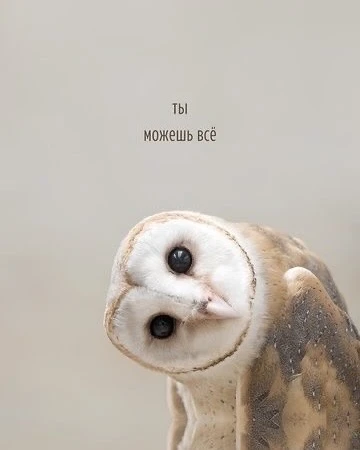 Хороших выходных!