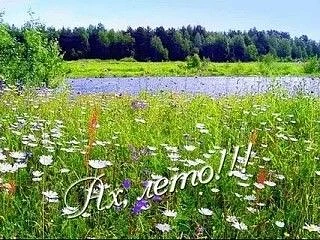 16 июля – середина лета, а значит, самое время наслаждаться теплом, солнцем и долгими днями! Надеемс