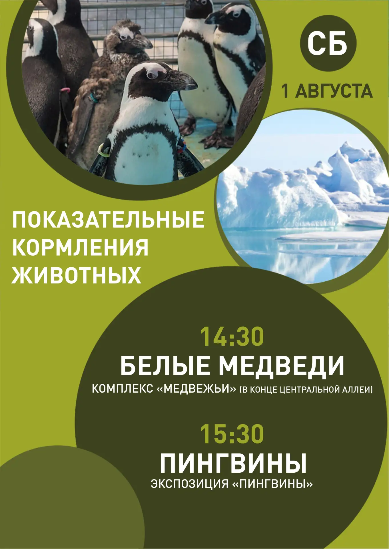 В предстоящие выходные 1 и 2 августа- показательные кормления животных и "Танцующее лето" !
В суббот