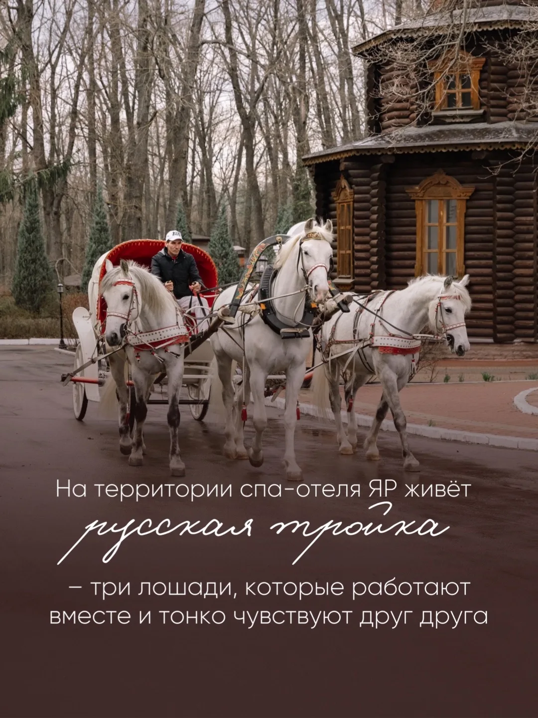 Мы уже рассказывали вам об истории русской тройки, а сегодня хотим познакомить с её сос...