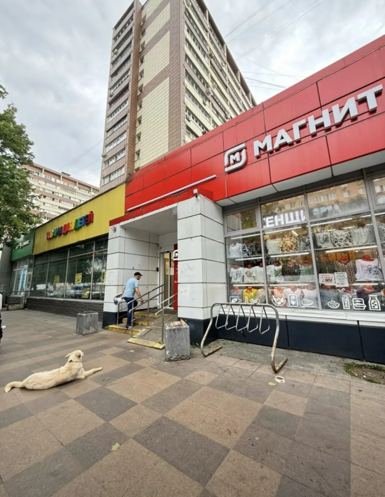 ❗️Срочно нужна помощь собаке