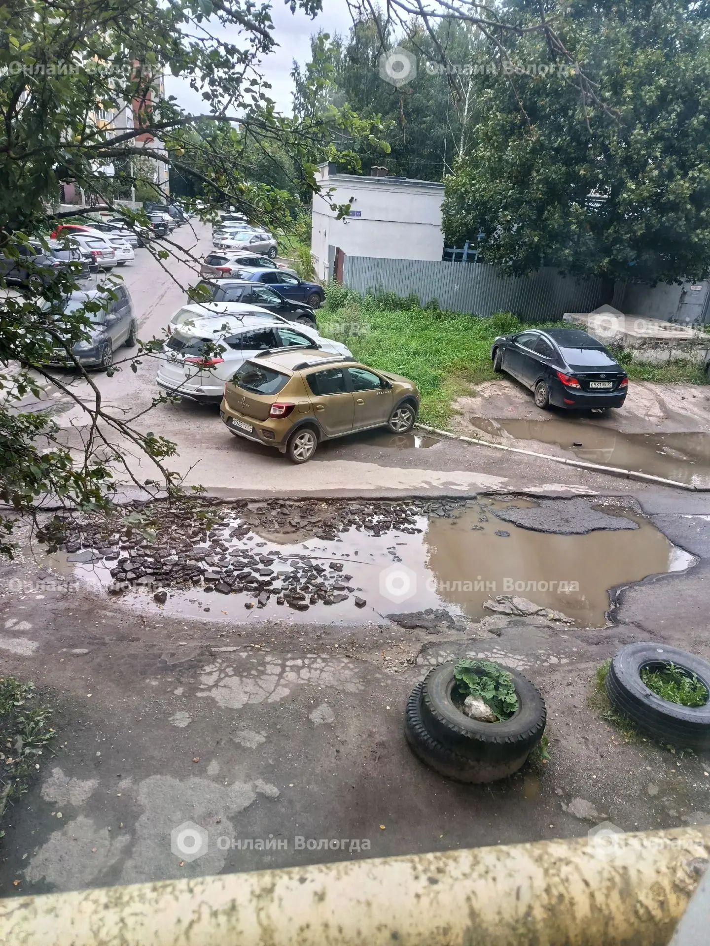 Вот такая красота у нас круглый год напротив подъезда! Разина ..