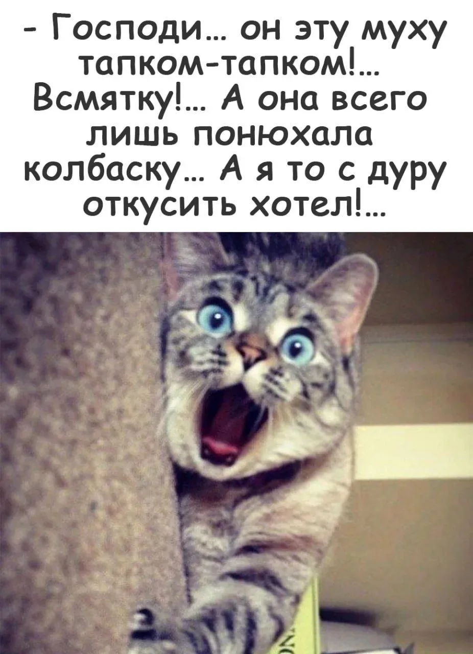 ПРУFИКИ В МАХ