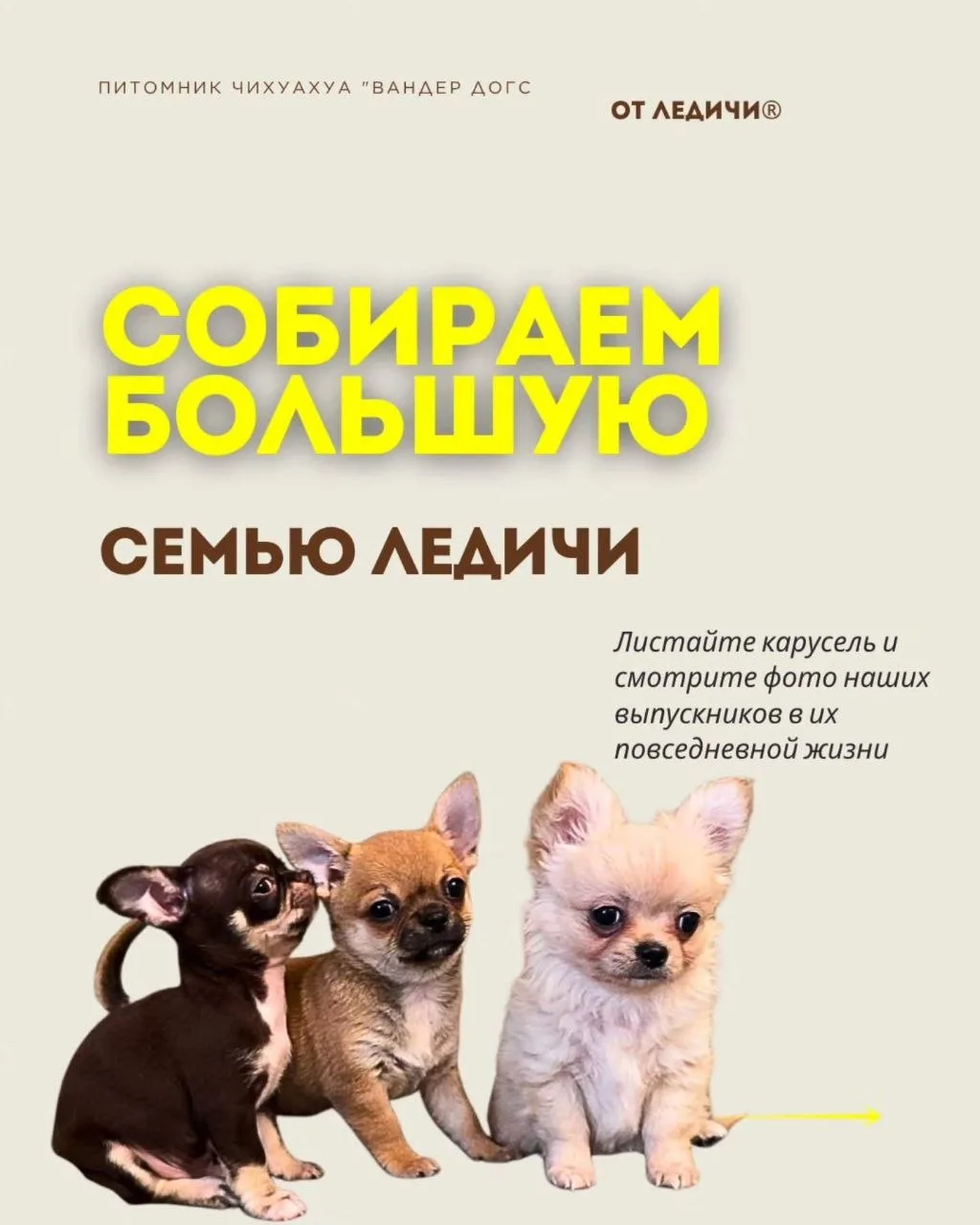 Всем авторам этой рубрики - большое спасибо за участие🌟