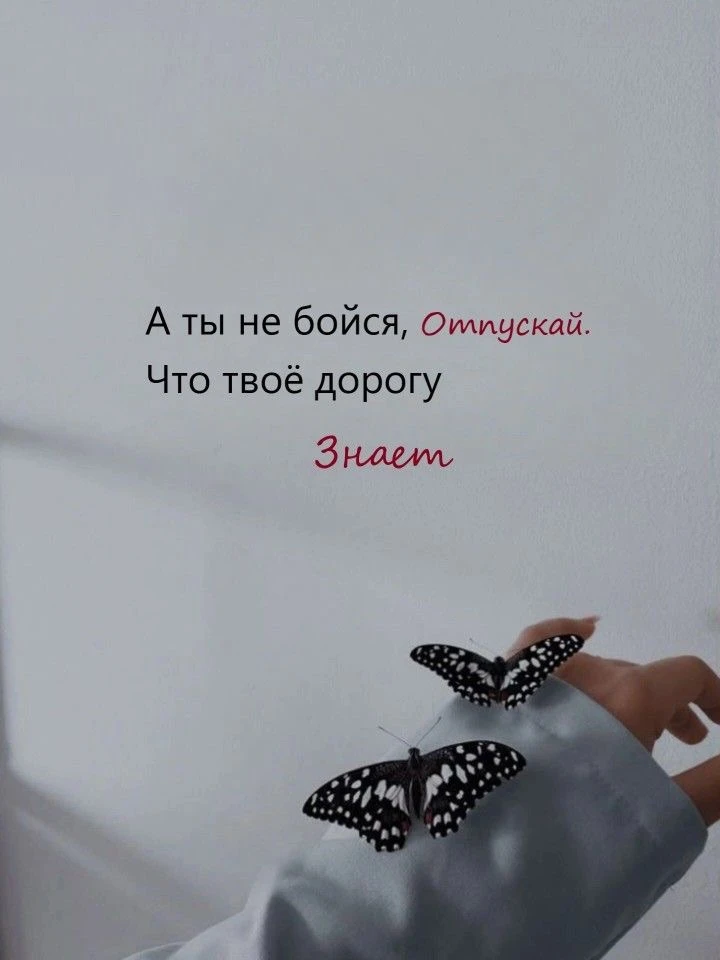 Ангельское послание на 15 июня 🪽

💫«Твоё прошлое больше не имеет власти над твоим настоящим, если 