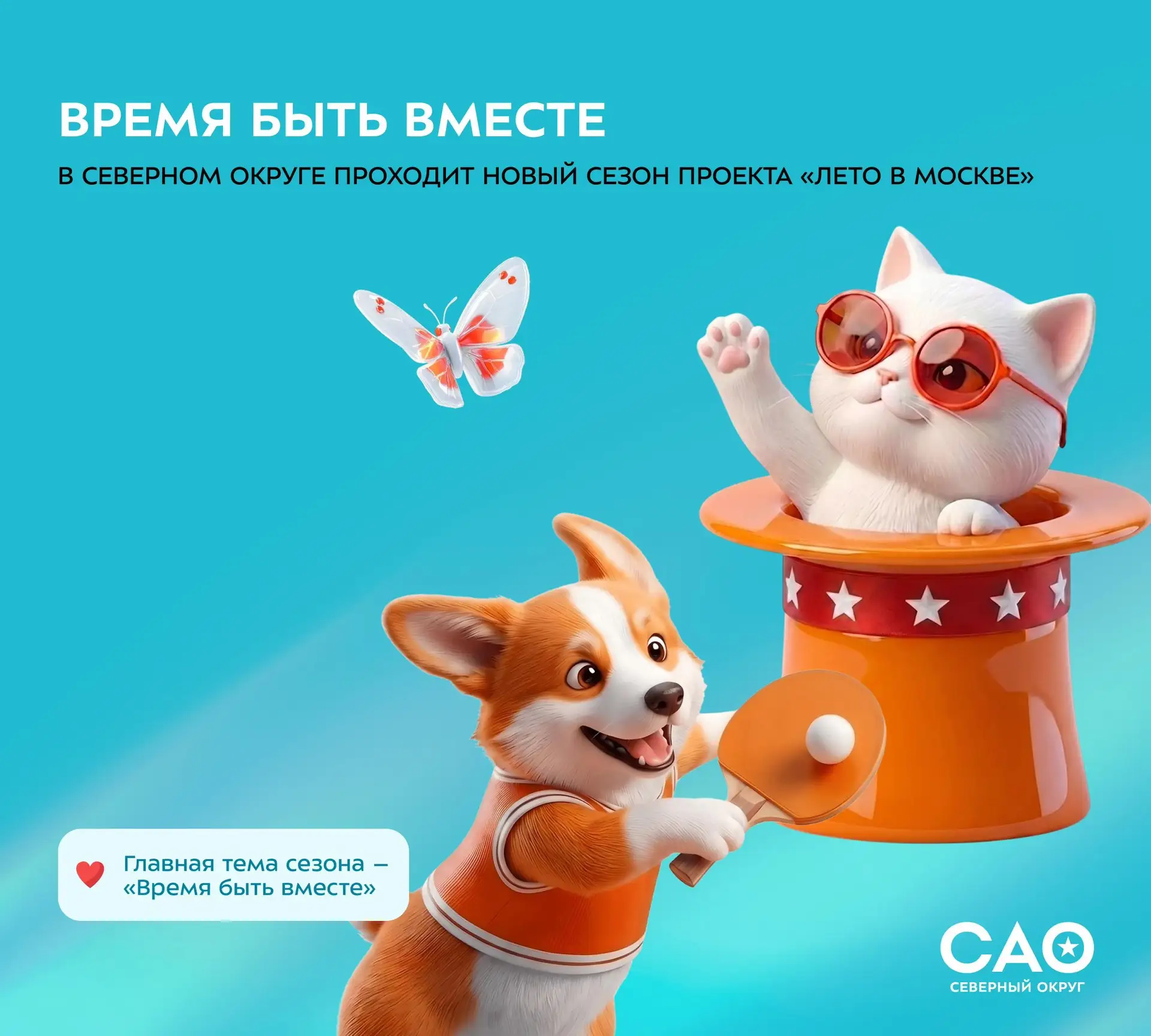 ☀️ Время быть вместе: в Северном округе проходит новый сезон проекта «Лето в Москве»