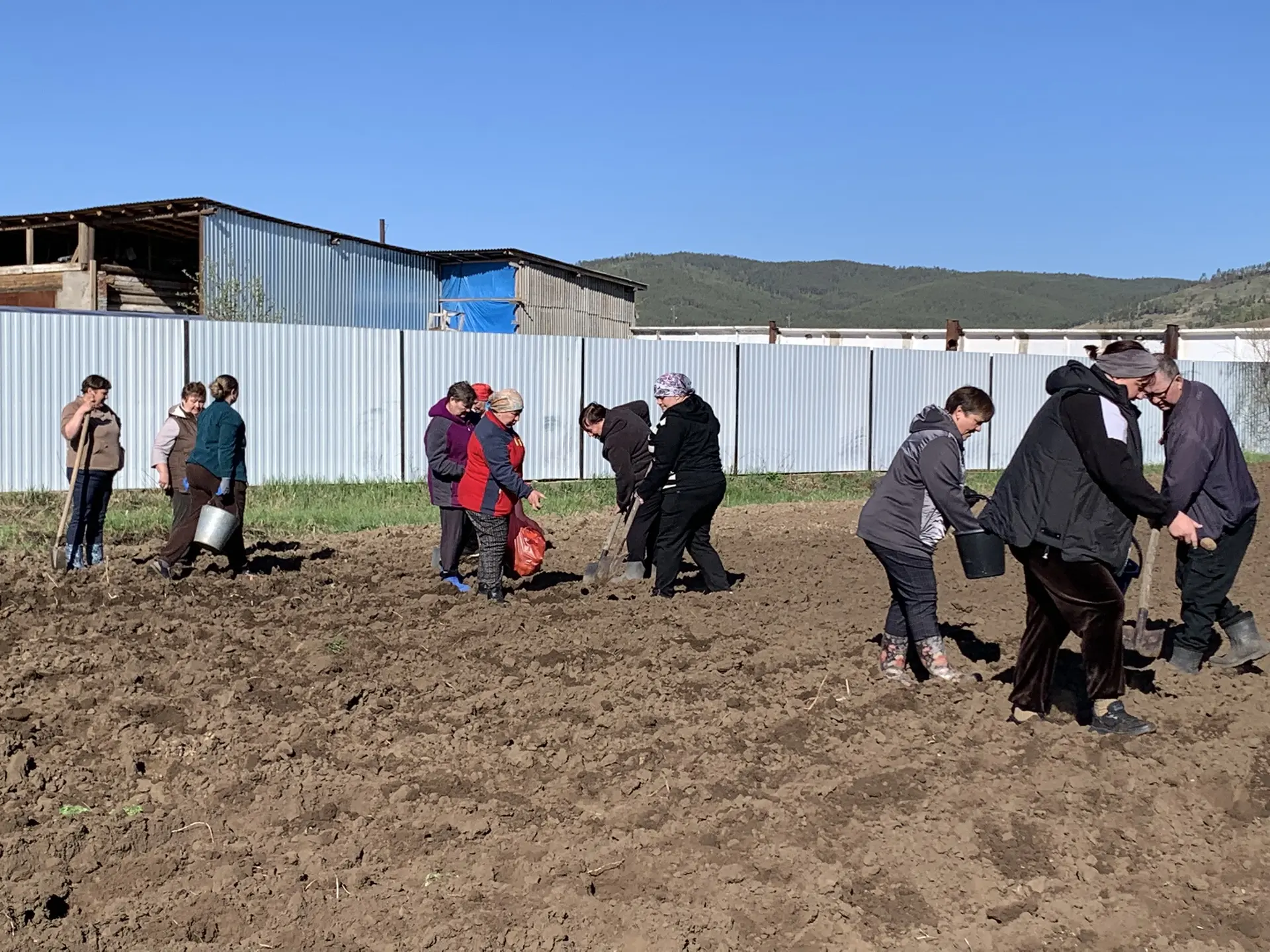 🌿 Сегодня на пришкольном участке кипит работа ! 🌿