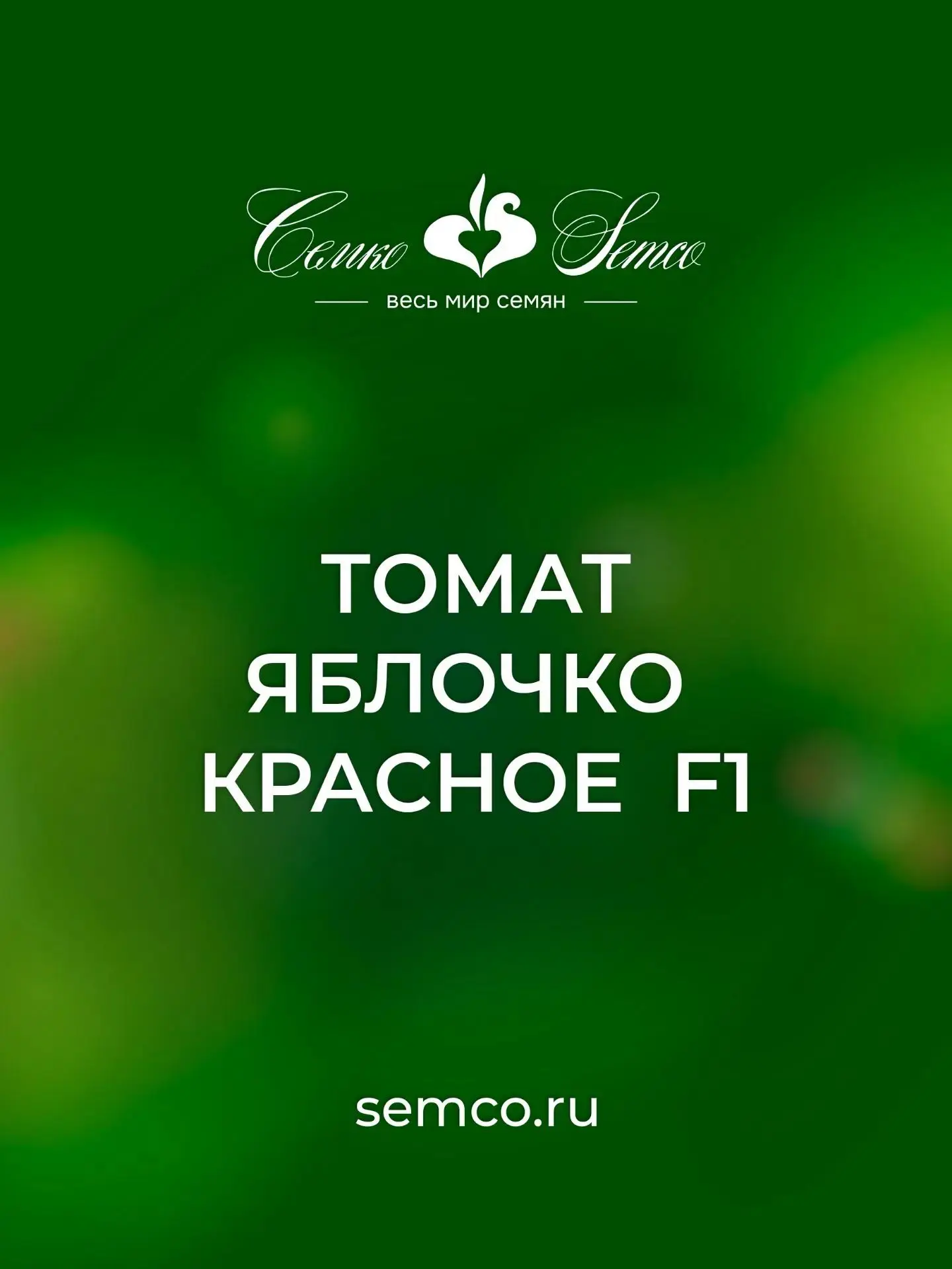 Томат черри Яблочко красное F1.