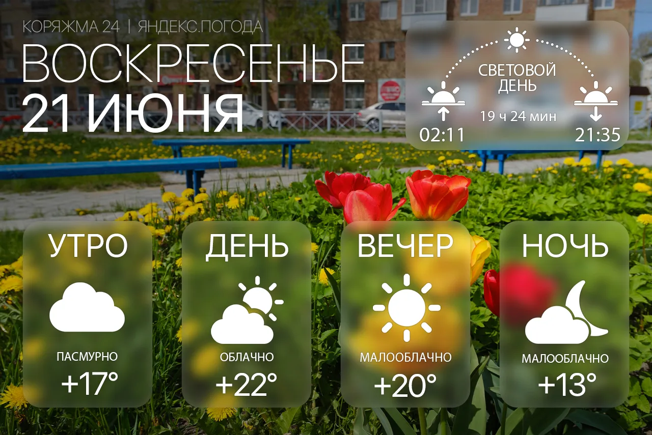 Доброе утро, Коряжма! 🌥

Воскресенье, 21 июня. Утром пасмурно, +17°, днём облачно, воздух прогреетс