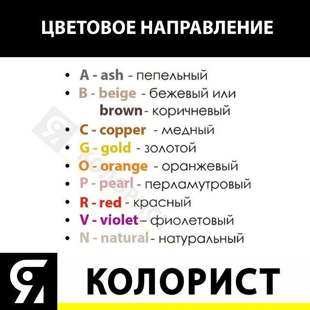 ☄️ im-prof.com - это приложение уже стоит в телефоне каждого парикмахера, стилиста, кол...