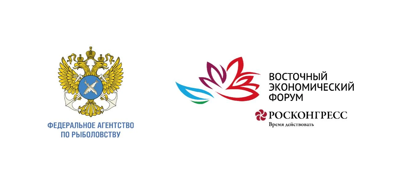 Росрыболовство объединит бизнес и регионы для продвижения российской рыбы на ВЭФ-2026 🤝