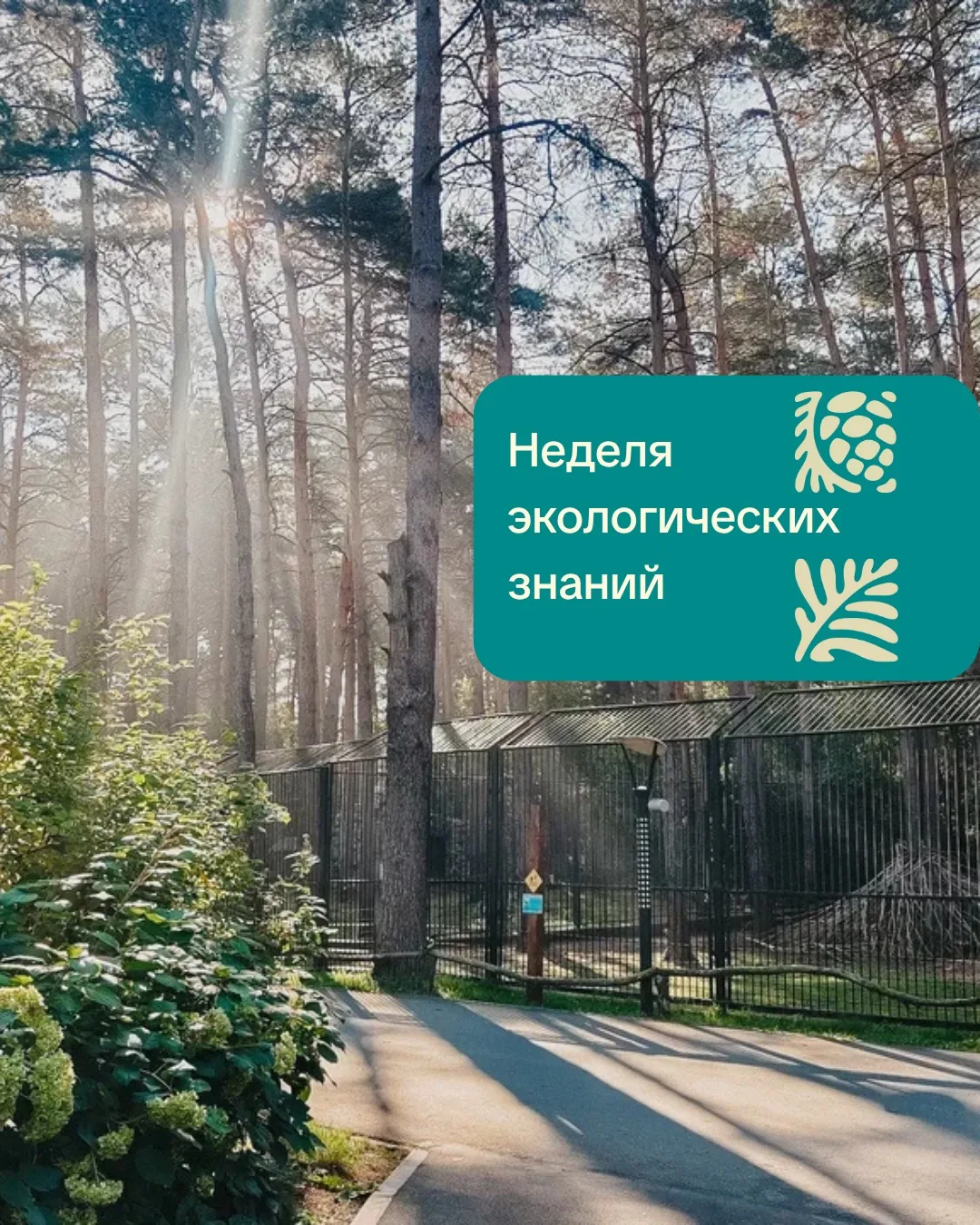Каждый год в сентябре Новосибирский зоопарк имени Р.А. Шило и волонтеры Фонда имени Р.А...